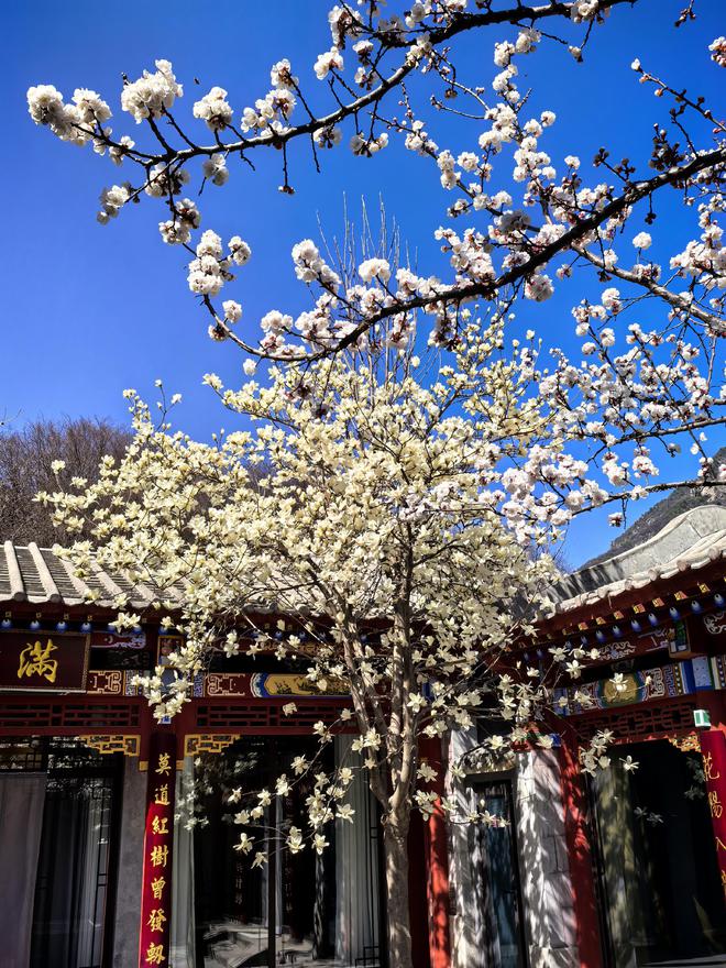 澳涞山庄拿下第1古韵时尚共生实至名归开元棋牌app中国10大最美山庄揭晓(图10) 澳涞山庄拿下第1古韵时尚共生实至名归开元棋牌app中国10大最美山庄揭晓(图10)