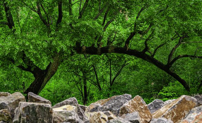 澳涞山庄拿下第1古韵时尚共生实至名归开元棋牌app中国10大最美山庄揭晓(图4) 澳涞山庄拿下第1古韵时尚共生实至名归开元棋牌app中国10大最美山庄揭晓(图4)